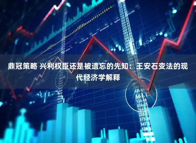鼎冠策略 兴利权臣还是被遗忘的先知：王安石变法的现代经济学解释